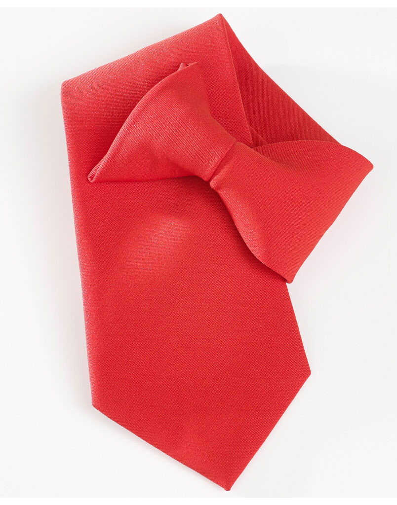 CT01 - Clip-On Tie