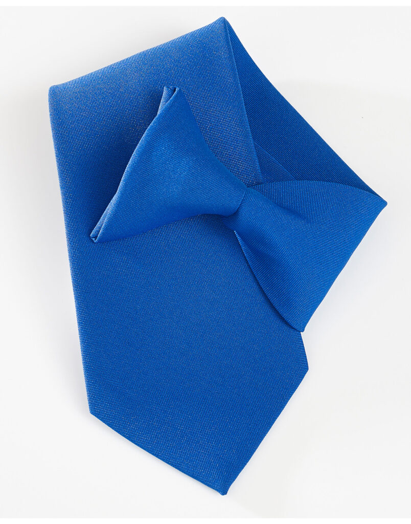 CT01 - Clip-On Tie