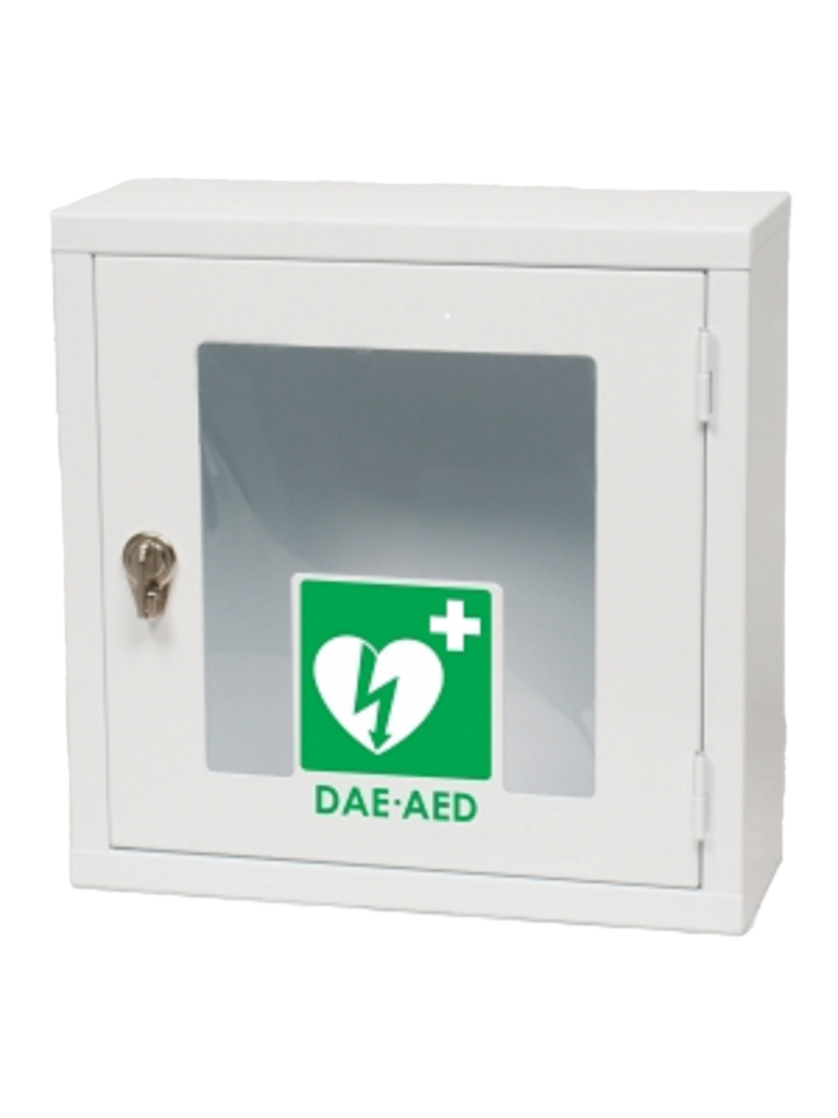 SMARTY SAVER INDOOR CABINET LOCKABLE WITHOUT ALARM (EACH)