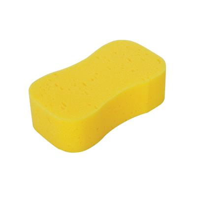 Jumbo Sponge