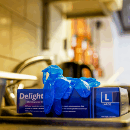 Aurelia® Delight Blue PD® Lightly Powdered Vinyl Examination Gloves