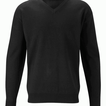 CJU1 - V-NECK JUMPER
