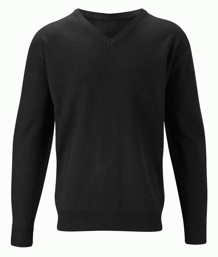 CJU1 - V-NECK JUMPER
