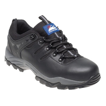 Himalayan 4020 Gravity 1 Black Leather Safety Trainer